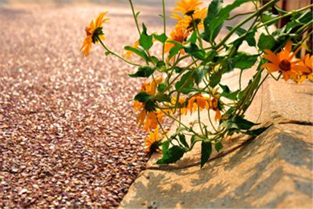 廣東自考本科畢業(yè)論文怎么寫?